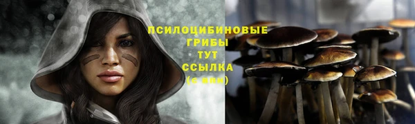 молекула духа Верхний Тагил