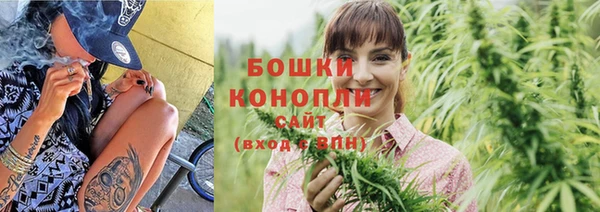 молекула духа Верхний Тагил
