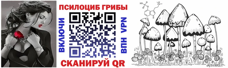 Купить  Краснокамск  Галлюциногенные грибы Psilocybe 